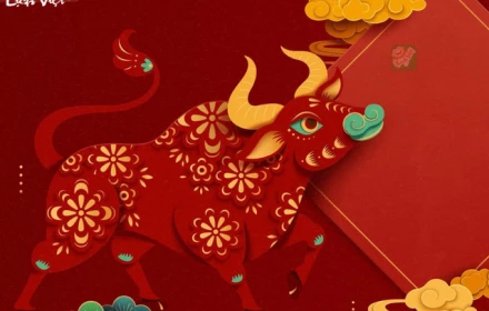 Sự nghiệp tuổi Sửu trong năm 2026: Những chuyển biến quan trọng cần lưu tâm