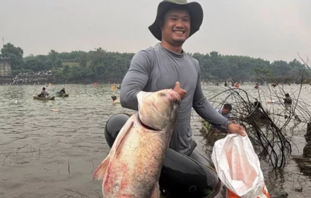 Người dân tấp nập săn cá tra, cá lăng nặng hơn 15kg ở hồ Trị An