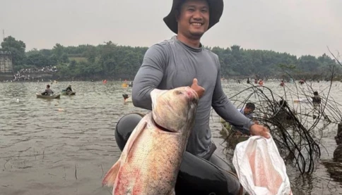 Người dân tấp nập săn cá tra, cá lăng nặng hơn 15kg ở hồ Trị An