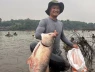 Người dân tấp nập săn cá tra, cá lăng nặng hơn 15kg ở hồ Trị An
