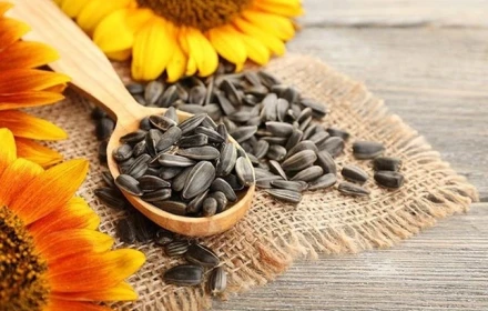 Thích ăn hạt hướng dương? Vậy thì chúc mừng bạn 👏