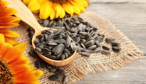 Thích ăn hạt hướng dương? Vậy thì chúc mừng bạn 👏