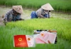Tin vui cho các hộ dân sở hữu đất nông nghiệp: Loạt chính sách miễn thuế mới chính thức áp dụng