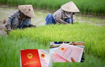 Tin vui cho các hộ dân sở hữu đất nông nghiệp: Loạt chính sách miễn thuế mới chính thức áp dụng