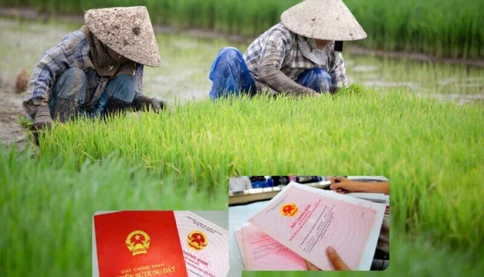 Tin vui cho các hộ dân sở hữu đất nông nghiệp: Loạt chính sách miễn thuế mới chính thức áp dụng