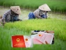 Tin vui cho các hộ dân sở hữu đất nông nghiệp: Loạt chính sách miễn thuế mới chính thức áp dụng