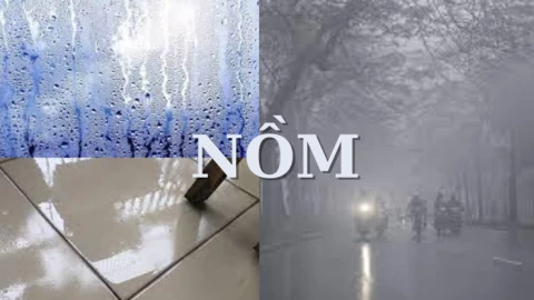 Máy hút ẩm tăng đột biến khi miền Bắc mới chớm bước vào mùa nồm