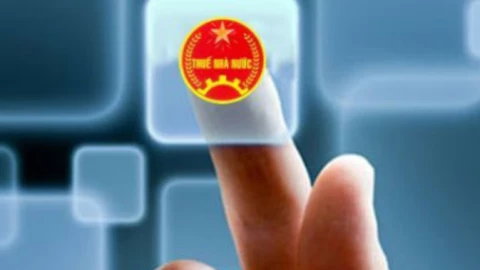 Việc tra cứu mã số thuế cá nhân sẽ trở nên vô nghĩa