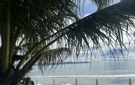 Đi tìm một khoảng thở yên lành giữa những ngày Hà Nội mờ sương