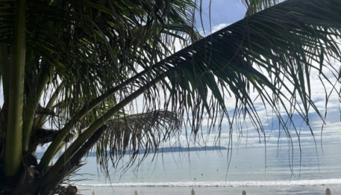 Đi tìm một khoảng thở yên lành giữa những ngày Hà Nội mờ sương