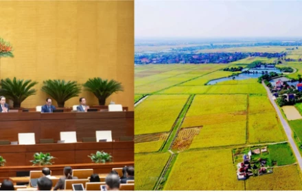 Mới từ Quốc hội: Chốt giảm hơn một nửa tiền chuyển đổi đất nông nghiệp sang thổ cư, người dân chỉ cần nộp 30% chênh lệch từ 1/1/2026