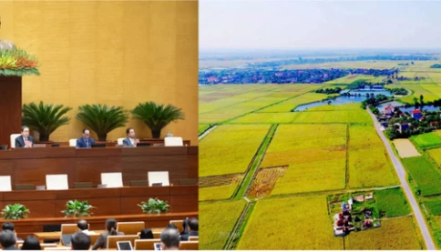 Mới từ Quốc hội: Chốt giảm hơn một nửa tiền chuyển đổi đất nông nghiệp sang thổ cư, người dân chỉ cần nộp 30% chênh lệch từ 1/1/2026