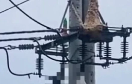 Trèo lên trụ điện bắt ong vò vẽ, nam thanh niên tử vong thương tâm