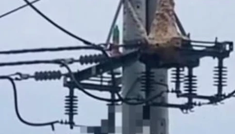 Trèo lên trụ điện bắt ong vò vẽ, nam thanh niên tử vong thương tâm