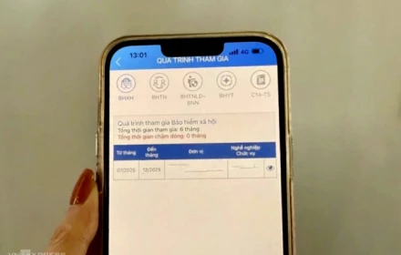 VssID bị giảm thời gian đóng bảo hiểm xã hội, nguyên nhân do đâu? cách khắc phục?