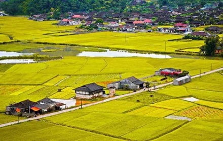 Chuyển đất nông nghiệp sang đất ở từ 1/1/2026 phải nộp bao nhiêu tiền?