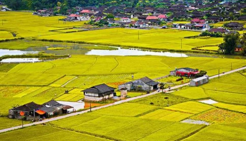 Chuyển đất nông nghiệp sang đất ở từ 1/1/2026 phải nộp bao nhiêu tiền?