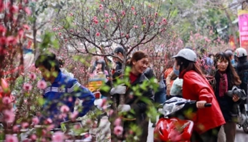 Nghỉ Tết nguyên đán Bính Ngọ 2026 mấy ngày? những ngày nào?