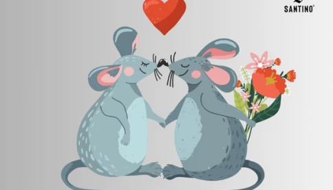 Tình duyên tuổi Tý năm 2026: Gặp đúng người đúng thời điểm?