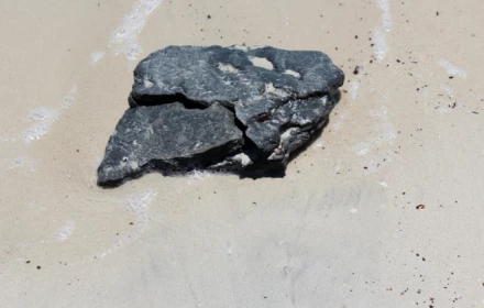 Có thể bạn không biết: Chất nôn của cá voi được dùng trong nước hoa