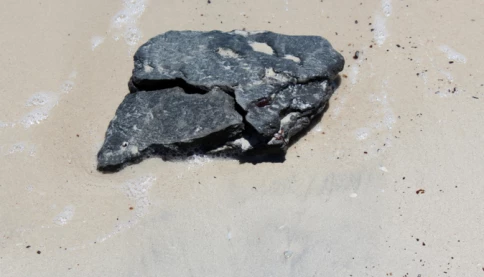 Có thể bạn không biết: Chất nôn của cá voi được dùng trong nước hoa