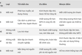 Định dạng âm thanh tốt nhất là gì? Vì sao có quá nhiều định dạng nhạc dù không ai phân biệt được?