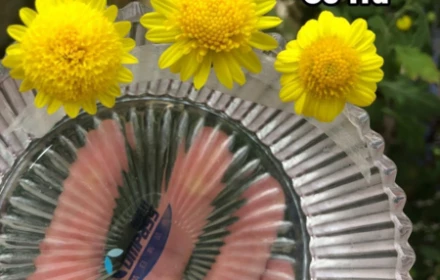 Các loại hoa cúc chơi Tết, nhìn mê lắm, bạn đã biết hết tên chưa?