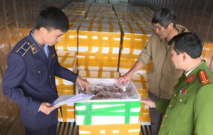 Mua cá khoai chứa formol từ Trung Quốc 37.000 đồng, chở về biển Sầm Sơn bán 130.000 đồng/kg