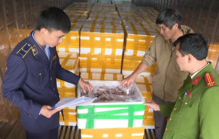 Hơn 10 tấn cá khoai Trung Quốc tẩm chất cấm formol đậm đặc chờ lên bàn ăn có thể gây hại cho cơ thể ra sao?