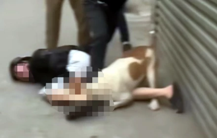 Nạn nhân kể phút kinh hoàng bị bố con hàng xóm chặn xe, xua chó dữ tấn công