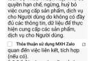 Zalo cập nhật điều khoản, "ép" người dùng phải đồng ý
