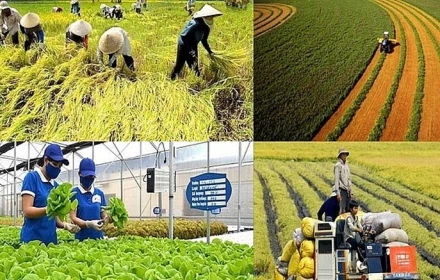 Chính sách mới có hiệu lực từ tháng 1/2026