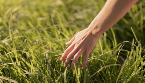 Con người có bao nhiêu giác quan? 6 là con số quá ít