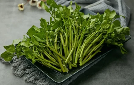 Loại rau xanh người nước ngoài cho rằng vừa ngon vừa bổ bậc nhất, nhưng giờ nhiều người Việt ít ăn