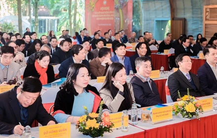 Dứt khoát sắp xếp các hội quần chúng hoạt động kém hiệu quả