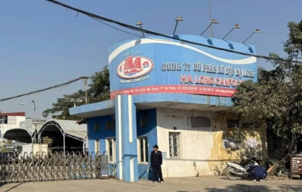 Vì sao mang tên Đồ hộp Hạ Long nhưng nhà máy lại đặt tại TP Hải Phòng?