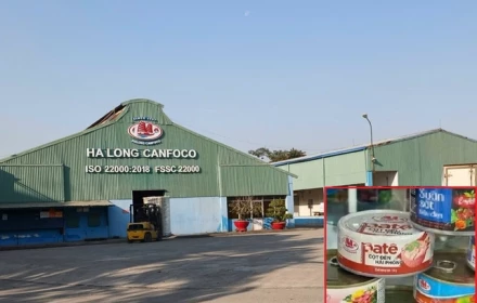 Phê chuẩn bắt khẩn cấp Tổng Giám đốc Công ty CP Đồ hộp Hạ Long!