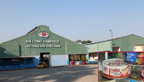 Phê chuẩn bắt khẩn cấp Tổng Giám đốc Công ty CP Đồ hộp Hạ Long!