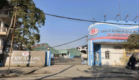 Phê chuẩn bắt khẩn cấp Tổng Giám đốc Công ty CP Đồ hộp Hạ Long