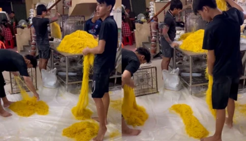 Chủ cơ sở tuồn 800 tấn mì tươi chứa chất cấm ra thị trường