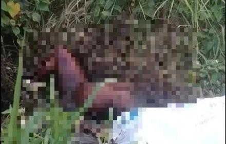 TP.HCM: Điều tra vụ tử thi lõa thể, khô hóa cạnh trạm thu phí