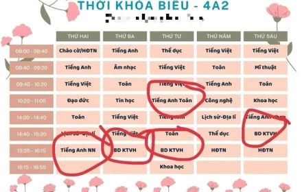 Tổng bí thư chỉ đạo, Bộ Giáo dục yêu cầu từ lâu mà đến giờ này con tôi vẫn phải học liên kết