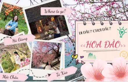 Chưa tới Tết đã có đào hồng: Tà Xùa săn mây kèm hoa nở, Hà Giang rủ rê chụp áo dài giữa bản làng