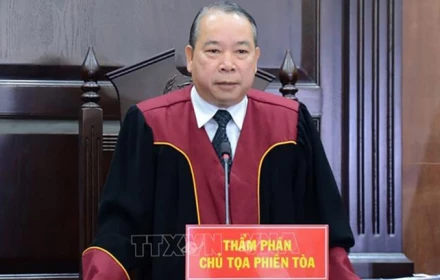 Vì sao cựu  chánh án TAND Cấp cao tại Đà Nẵng bị bắt?