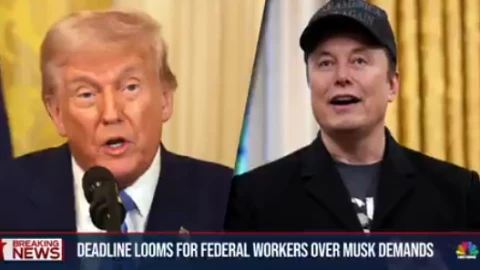 AI của Elon Musk sẽ giúp dọn dẹp chính phủ