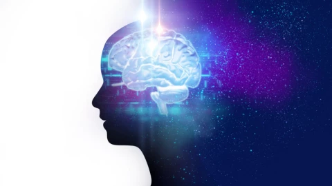 Chuyện gì xảy ra trong não bộ khi chúng ta suy nghĩ?