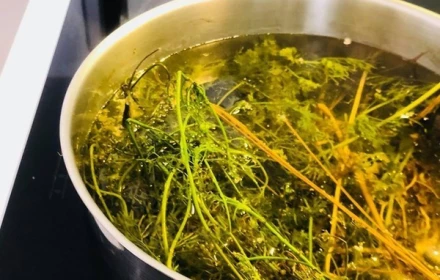 Tại sao người xưa dặn: Cuối năm nhất định phải có nước mùi già trong nhà