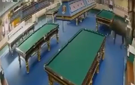 Con trâu lao ra khỏi lò mổ, chạy vào cửa hàng bida gây hỗn loạn