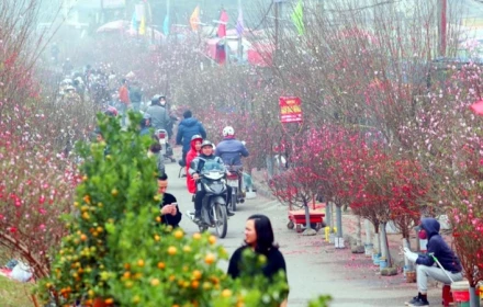 Dự báo thời tiết Tết Nguyên đán 2026: Miền Bắc có thể rét đậm rét hại