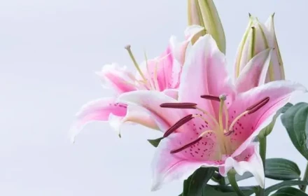 Sau 70 tuổi, chỉ cần tiết kiệm đến số này là đủ, không cần quá nhiều, không quan trọng con cái hiếu thảo hay không!